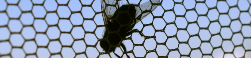Insektenschutz für Fenster und Türen, Pollenschutzgitter